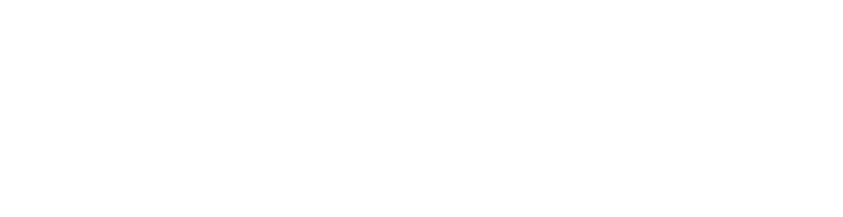Evolve Mobility Africa's logo