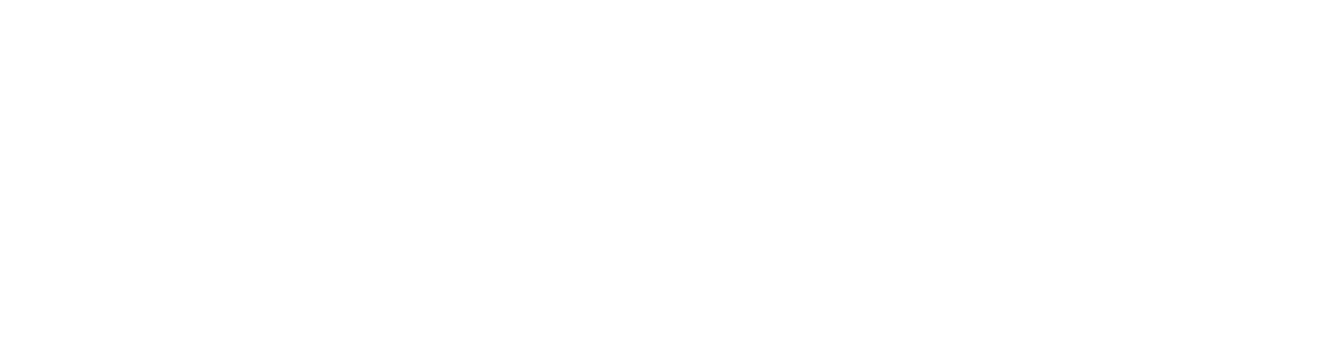 Evolve Mobility Africa's logo